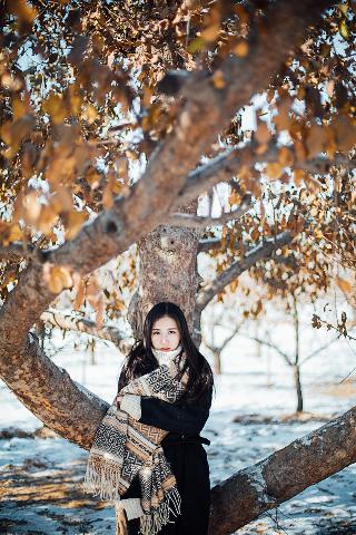 孤舟电视剧全集免费观看高清在线播放