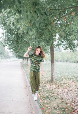 仙台有树电视剧免费观看全集高清完整版