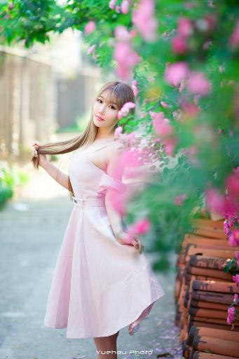 免费观看电视剧大全