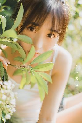 陈飞宇个人资料