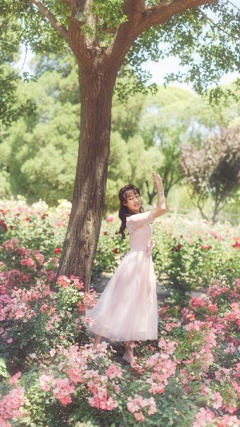 北欧人免费观看完整电视